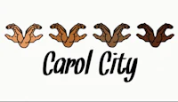 the words carol city are shown on a white background